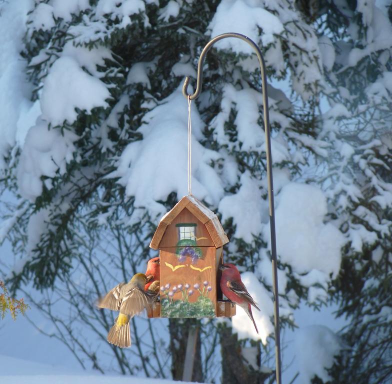 Gite De La Riviere Bed and Breakfast Chibougamau Εξωτερικό φωτογραφία